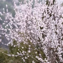 天津旅游 缩略图 2