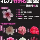 北京旅游 缩略图 8