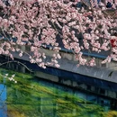 北京旅游 缩略图 11