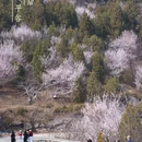 天津旅游 缩略图 1