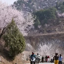 天津旅游 缩略图 4