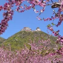 北京旅游 缩略图 1