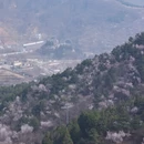 天津旅游 缩略图 5