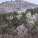 天津旅游 缩略图 6