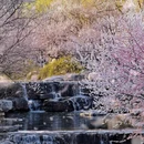 北京旅游 缩略图 12