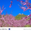 北京旅游 缩略图 3