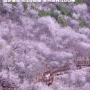 北京旅游 缩略图 2