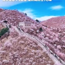 北京旅游 缩略图 3