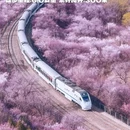 北京旅游 缩略图 5