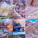 北京旅游 缩略图 1