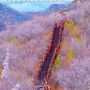 北京旅游 缩略图 8