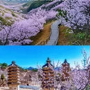 北京旅游 缩略图 10