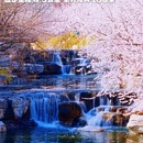 北京旅游 缩略图 7