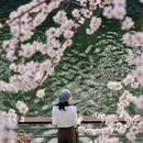 北京旅游 缩略图 6