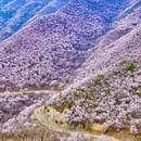 北京旅游 缩略图 2