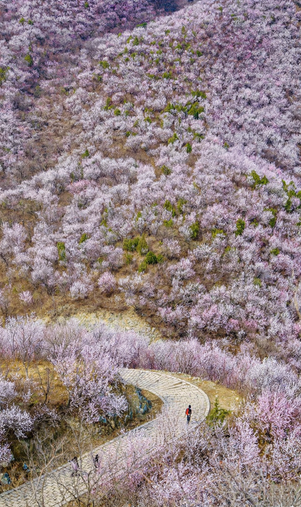 北京旅游
