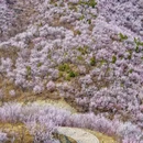 北京旅游 缩略图 1