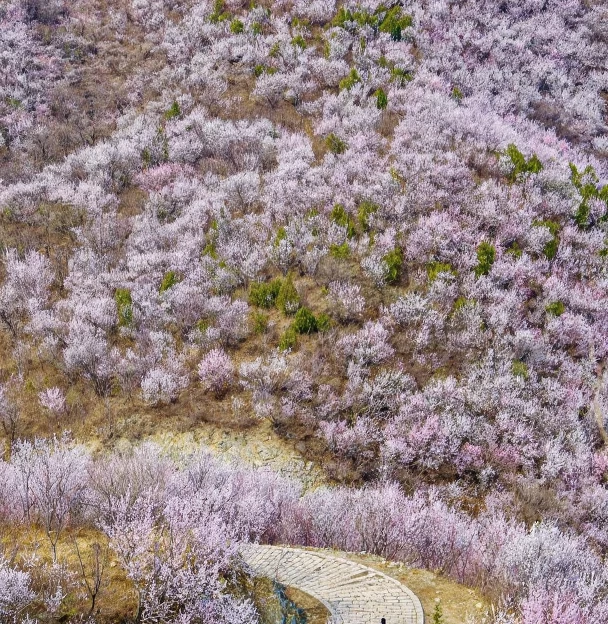 北京旅游 1