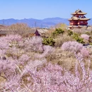 北京旅游 缩略图 8