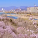 北京旅游 缩略图 10