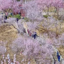 北京旅游 缩略图 9