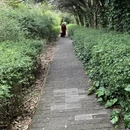昆明旅游 缩略图 6