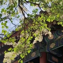 北京旅游 缩略图 6