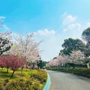 上海旅游 缩略图 1