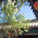 北京旅游 缩略图 3