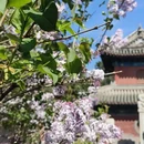 北京旅游 缩略图 2