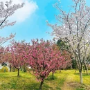 上海旅游 缩略图 2