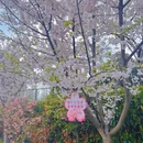 上海旅游 缩略图 10
