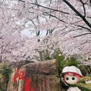 上海旅游 缩略图 4