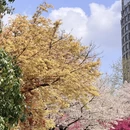 杭州旅游 缩略图 1
