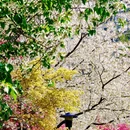 杭州旅游 缩略图 6
