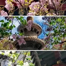 北京旅游 缩略图 1