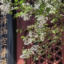北京旅游 缩略图 6