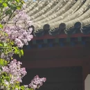 北京旅游 缩略图 7