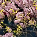 北京旅游 缩略图 3