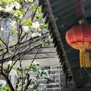 北京旅游 缩略图 4