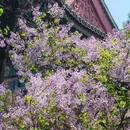 北京旅游 缩略图 9