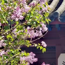 北京旅游 缩略图 8