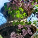 北京旅游 缩略图 11