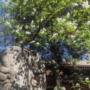 北京旅游 缩略图 13