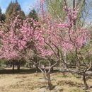 北京旅游 缩略图 16
