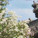 北京旅游 缩略图 14
