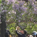 北京旅游 缩略图 17