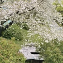 杭州旅游 缩略图 4