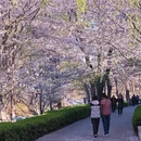 北京旅游 缩略图 5
