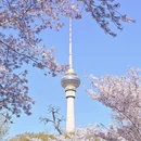 北京旅游 缩略图 7